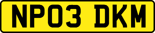 NP03DKM
