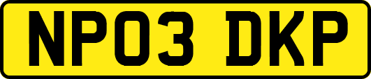 NP03DKP