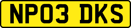 NP03DKS