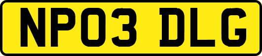 NP03DLG