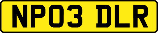 NP03DLR