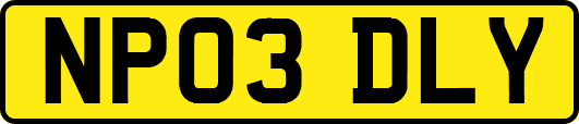 NP03DLY