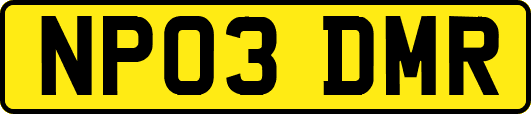 NP03DMR