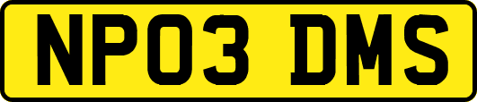 NP03DMS
