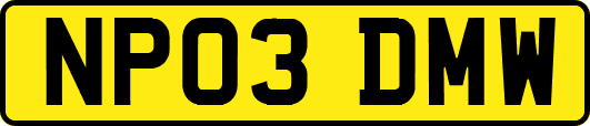 NP03DMW