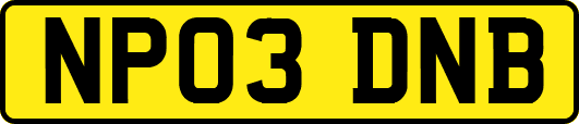 NP03DNB
