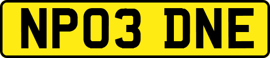 NP03DNE