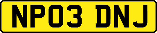 NP03DNJ