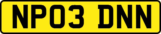 NP03DNN