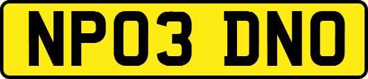NP03DNO