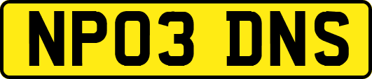 NP03DNS