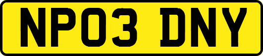 NP03DNY