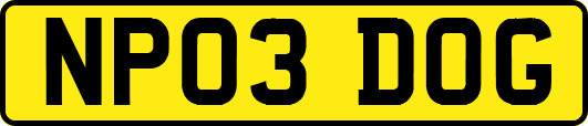 NP03DOG