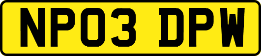 NP03DPW