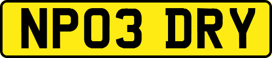 NP03DRY