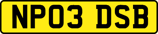 NP03DSB