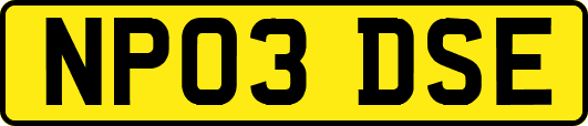 NP03DSE
