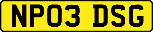 NP03DSG