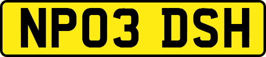 NP03DSH