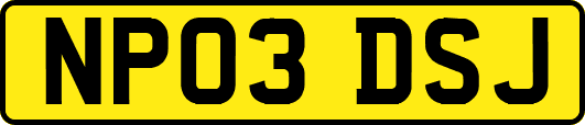 NP03DSJ