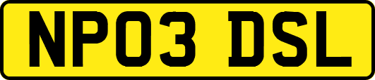NP03DSL
