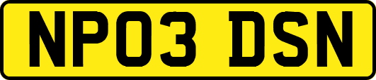 NP03DSN