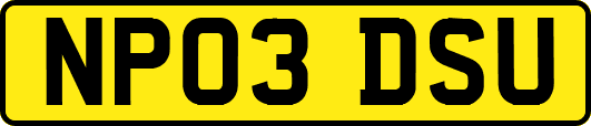 NP03DSU