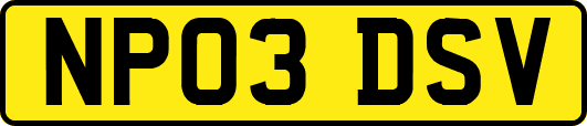 NP03DSV
