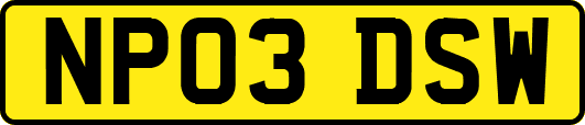 NP03DSW