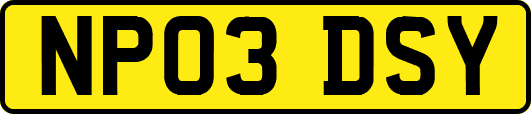 NP03DSY
