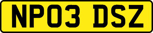 NP03DSZ