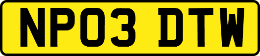 NP03DTW
