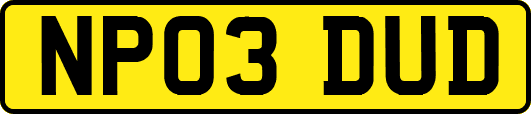 NP03DUD