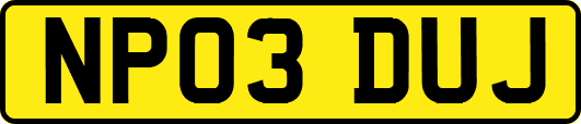 NP03DUJ