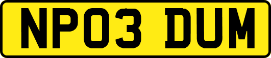 NP03DUM