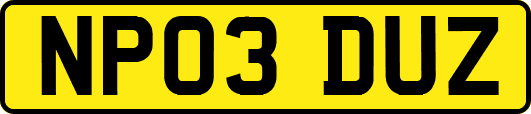 NP03DUZ