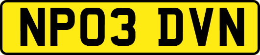 NP03DVN