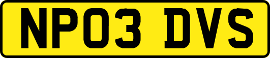 NP03DVS