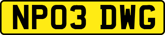NP03DWG