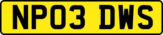 NP03DWS