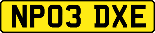 NP03DXE
