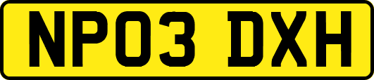 NP03DXH