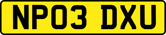 NP03DXU