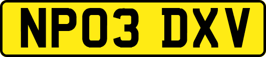 NP03DXV