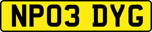 NP03DYG