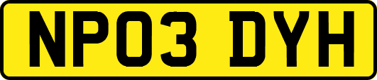 NP03DYH