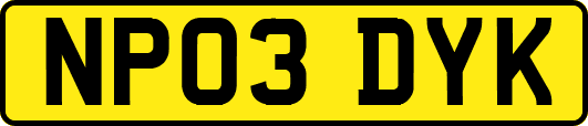 NP03DYK