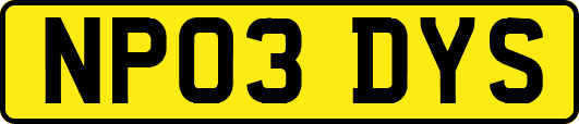 NP03DYS
