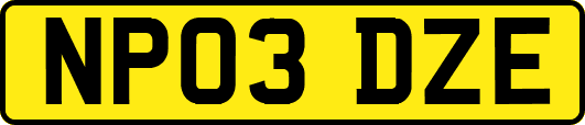 NP03DZE