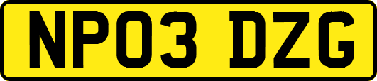 NP03DZG